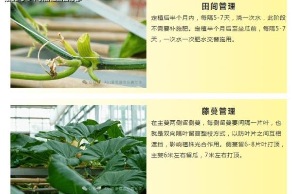 探寻生日的秘密：20020305的命理解析与人生启示