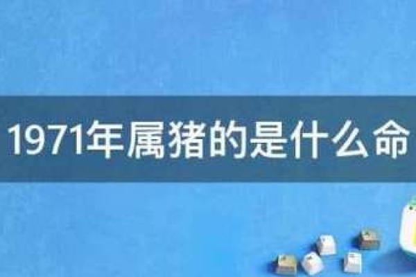 揭开1971年出生者的命运：缺失与补充的智慧探讨
