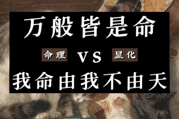 旺大林木命的运势与生活：解读命理之美与智慧