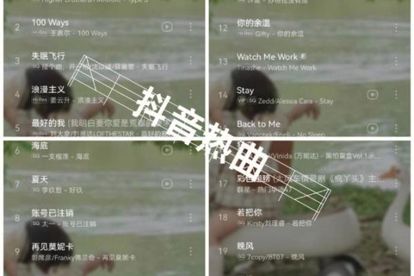 探索音乐的魅力：揭开KingBGM的神秘面纱