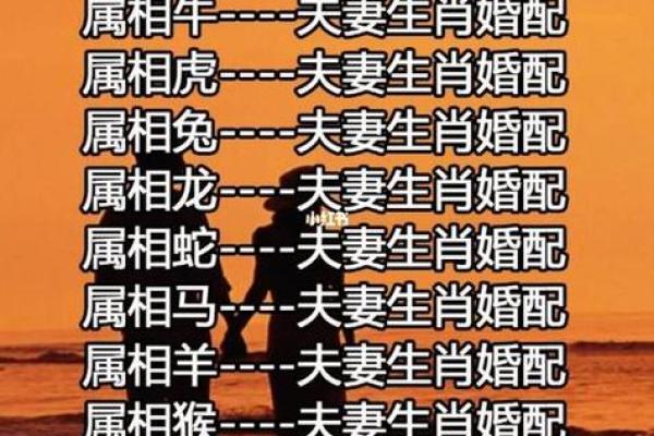 32岁是什么生肖与命运的深度解析