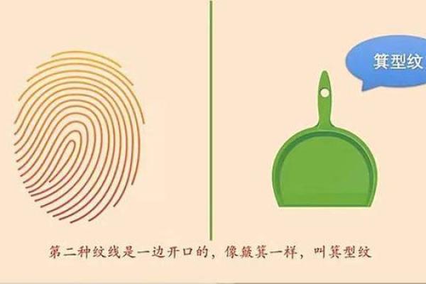 探秘女命旺男命的奥秘：平衡与和谐的良缘之道