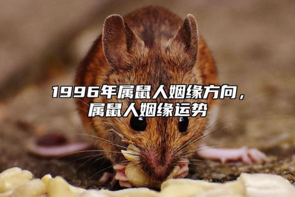 2022年鼠年运势解析：揭开命运的神秘面纱，开启美好新篇章！