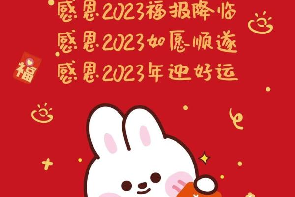 2023年命理解析：属于兔年的神秘力量与生活启示