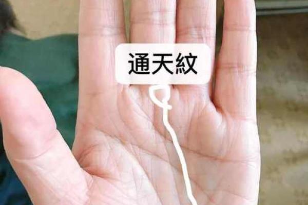通灵命的秘密:哪些人最具灵感与直觉能力? 通灵命的秘密:哪些人最具灵感与直觉能力?