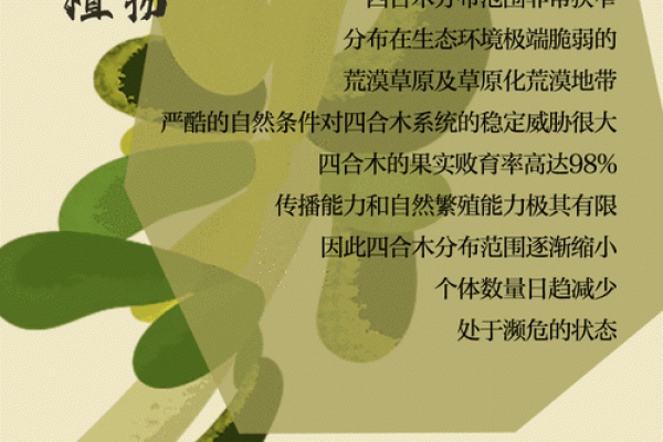 水命与木命：哪些植物最适合你？养植物的秘密！