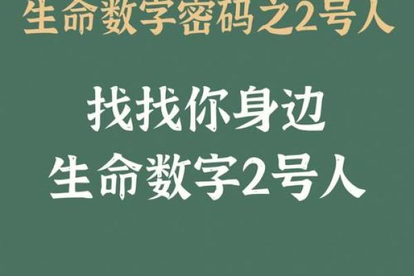 乙卯年出生的命运解析：揭开属于你的生命密码