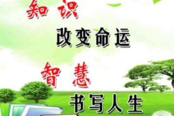 1998年出生者的命运与性格解析：探寻生命中的智慧与潜能