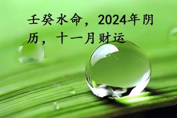 73年牛年命理探秘：木命与水命的深层解读