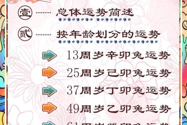 2011年：辛卯兔年，命运与运势的美丽交织