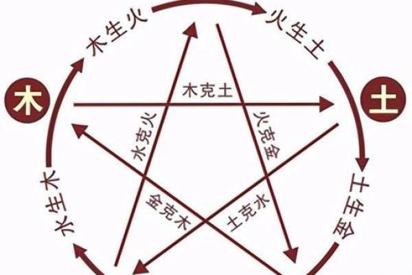 从五行看金命木命:如何理解命理背后的深意 从五行看金命木命:如何理解命理背后的深意