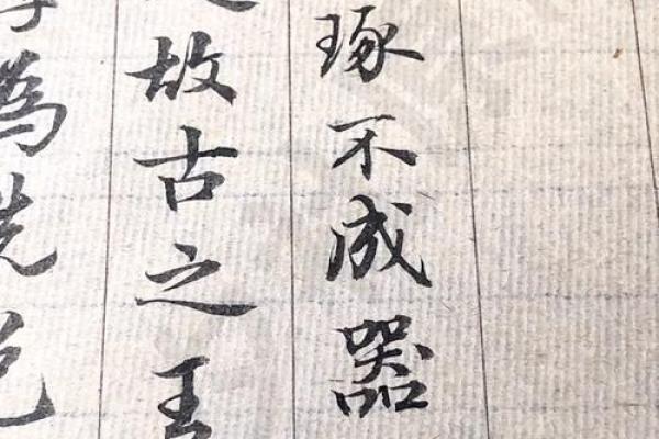 《兑命》中的“命”字：生命的启示与选择的自由