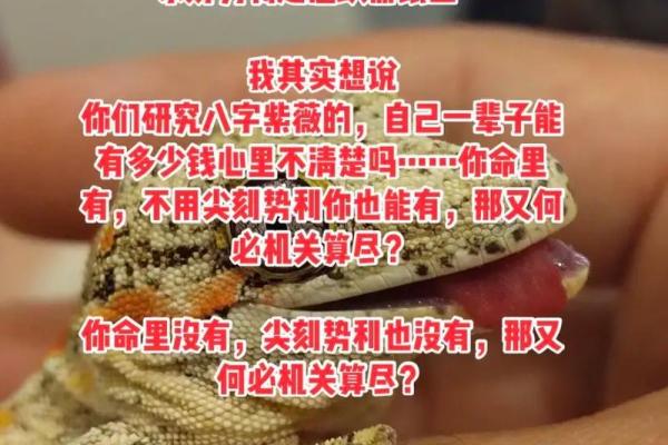 遭遇紫微命：八字里的隐秘玄机与命运的挑战