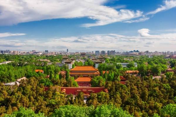 辛卯年与松柏木的命理关系探讨:克什么命与其内涵 辛卯年与松柏木的命理关系探讨:克什么命与其内涵