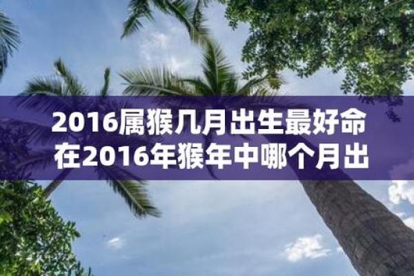 解密1994年4月16日出生者的命运与特点 解密1994年4月16日出生者的命运与特点