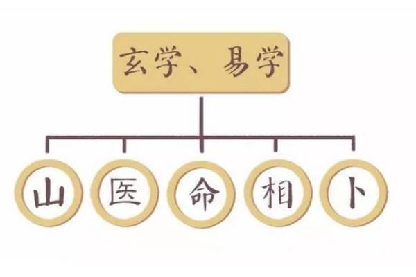 探索凶命论：命理中的神秘与魅力