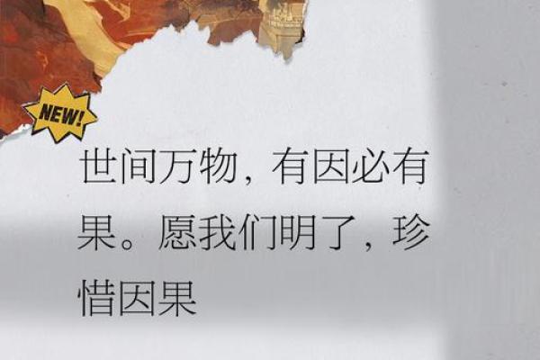 探寻“命”和“尽”的深意：命运背后的哲思