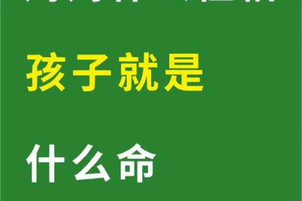 命也夫命也夫:揭示生命中的命运与选择之交错 命也夫命也夫:揭示生命中的命运与选择之交错