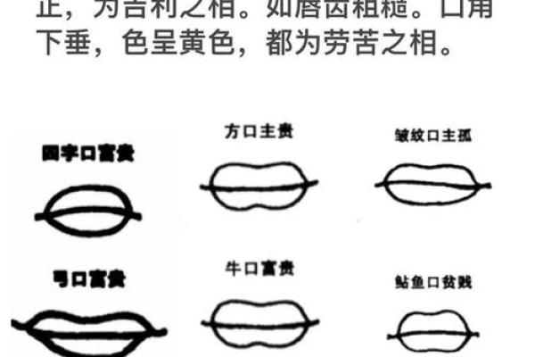面相学揭秘:如何从面相判断一个女孩是否具有富翁命 面相学揭秘:如何从面相判断一个女孩是否具有富翁命