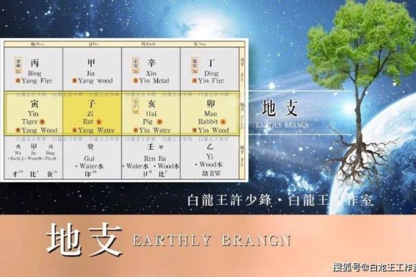金命人与哪些命合伙做生意更有前景?解读五行相合的商机! 金命人与哪些命合伙做生意更有前景?解读五行相合的商机!