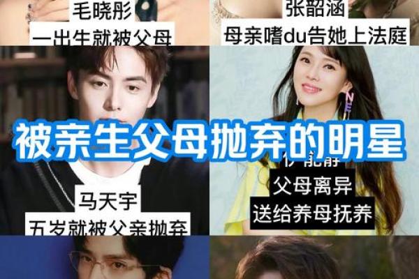 生肖与明星命：哪些属相的你注定璀璨夺目？