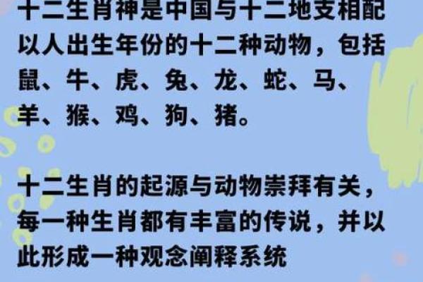 2021年猪年命运解析:揭开十二生肖中的财富与机遇之谜 2021年猪年命运解析:揭开十二生肖中的财富与机遇之谜
