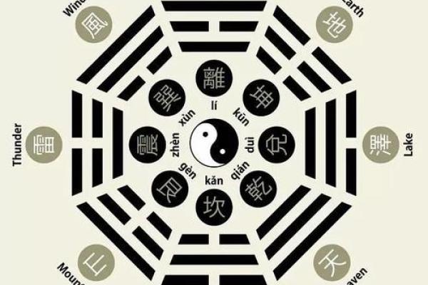 土命与木命的完美结合：如何通过佩戴提升运势与健康