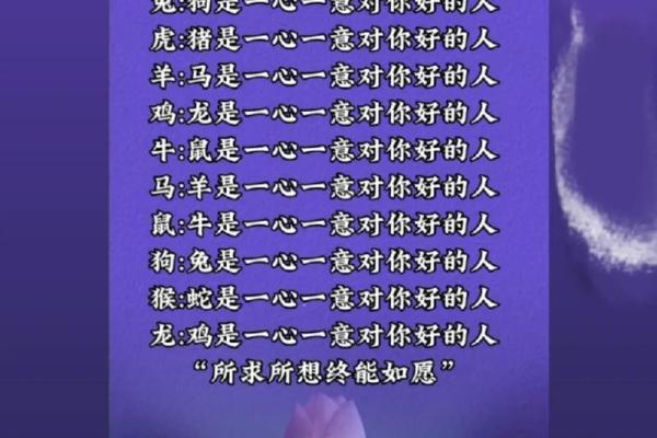 52岁属猪的命理与人生智慧：从命运看人生之路