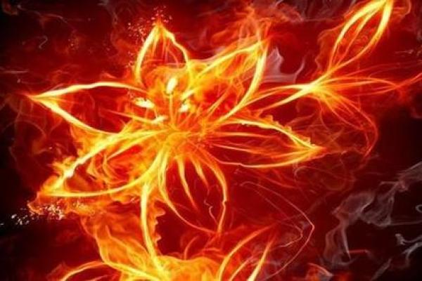 火命人士适合什么颜色的指甲?揭秘火命的魅力与风格! 火命人士适合什么颜色的指甲?揭秘火命的魅力与风格!