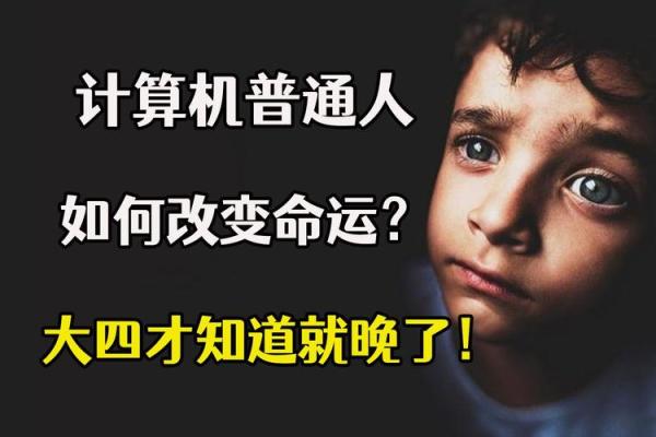 1984年出生的男性命运解析：探索命理与人生的秘密