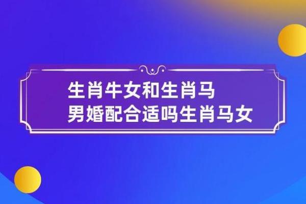 2017年马年命理解析:生肖马的性格、事业与爱情运势探秘 2017年马年命理解析:生肖马的性格、事业与爱情运势探秘