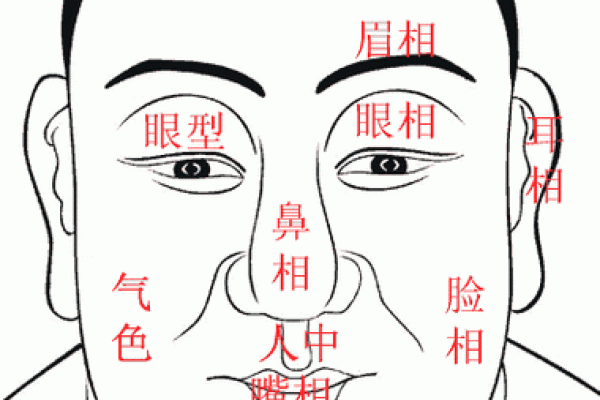 从面相看人，人生却有千变万化——解读面相与命运的关系
