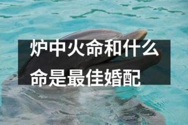 火命女性与财运的最佳搭配：寻找适合的配命之道