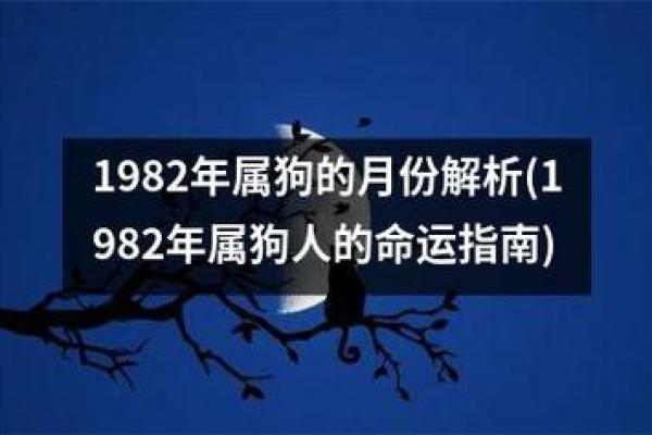 1982年出生的人命理分析:缺什么与适合的职业选择 1982年出生的人命理分析:缺什么与适合的职业选择