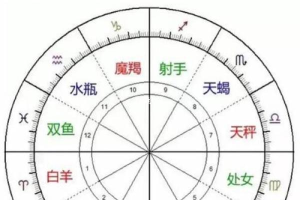 男水命与土命的特点与不同:命理的深度解析 男水命与土命的特点与不同:命理的深度解析