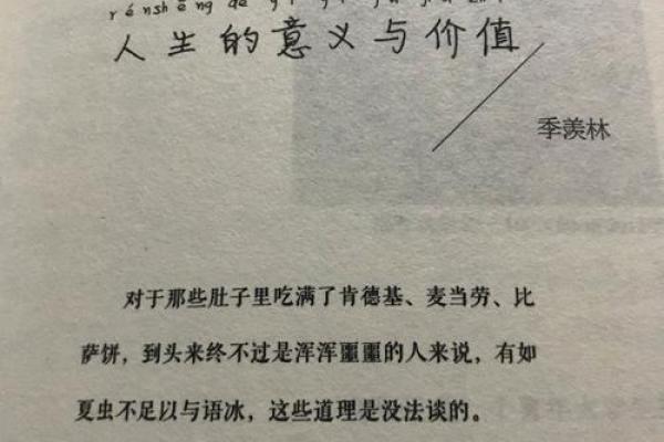 命运的天梯：探索1979年出生之人的人生轨迹与意义