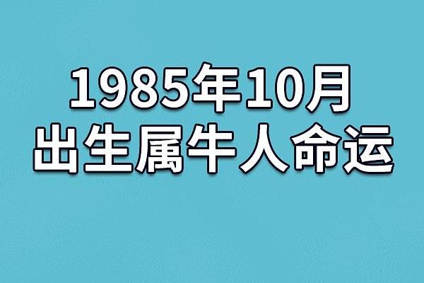 19984年出生的人命运解析与人生智慧 19984年出生的人命运解析与人生智慧