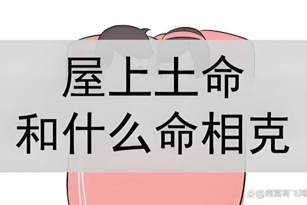 土命与命运的不合：探寻生命中的隐秘情感与挑战