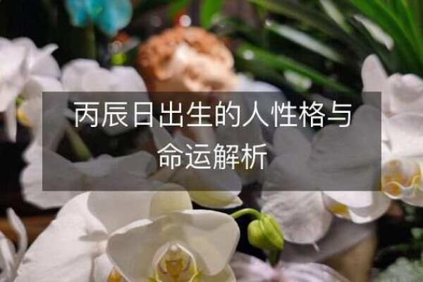 1997腊月出生的命运与性格解析