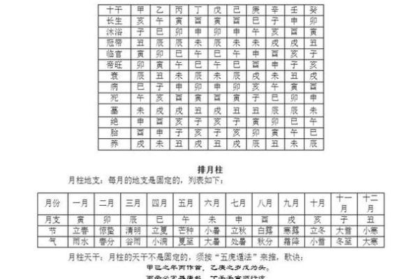 命运的奥秘：了解命理中的各种命运类型与特点