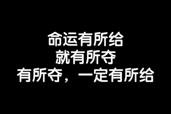 19960212出生的人生命运与性格特征解析
