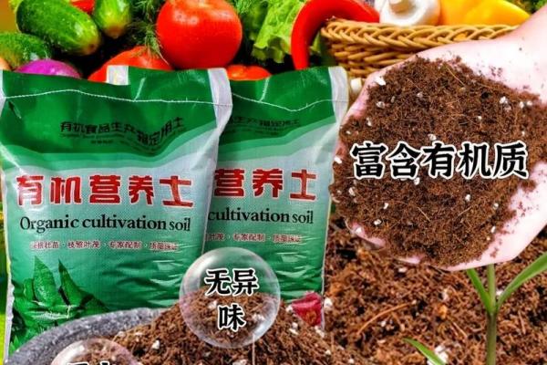 城头土命男兔最佳配偶：寻找理想伴侣的秘诀