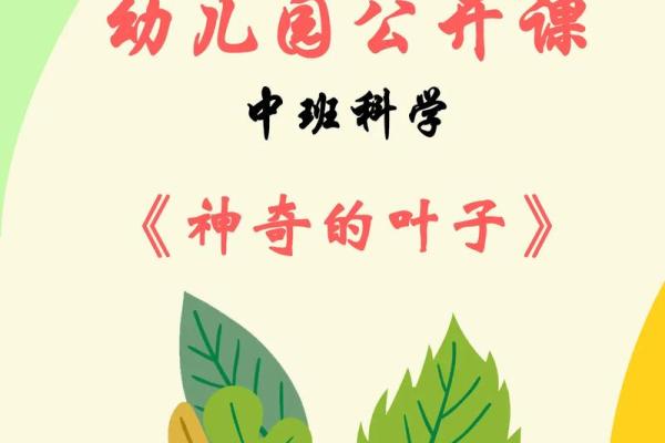 探索命运的奥秘：如何查找属于自己的命运之路