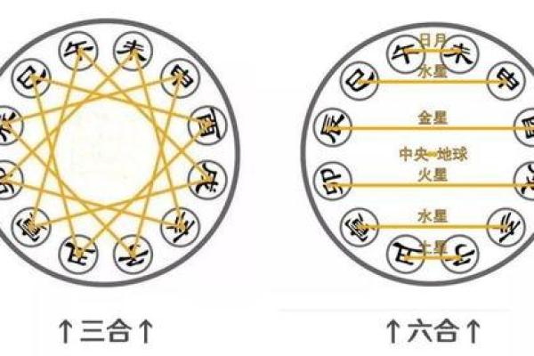 22岁属什么生肖和命理解析：探寻自身价值与未来之路