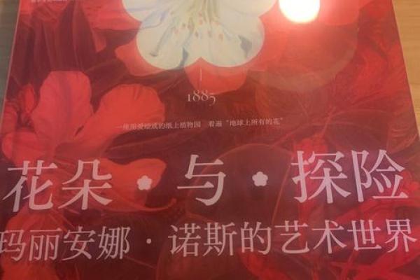 女命双官之命：荣耀与智慧的双重馈赠