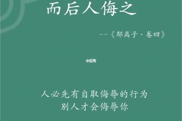 探索20041111背后的命理智慧与人生启示