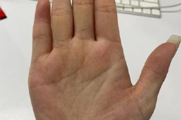 中指最长与命运:手相揭秘你的性格与运势 中指最长与命运:手相揭秘你的性格与运势