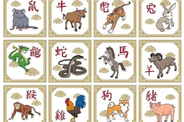 1997年出生的牛命：牛年的坚韧与奋斗历程