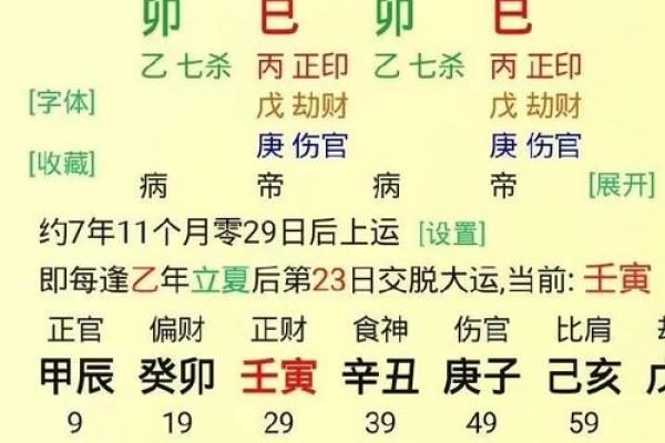 深入探讨：己亥、己巳、癸丑命主的性格与命运分析
