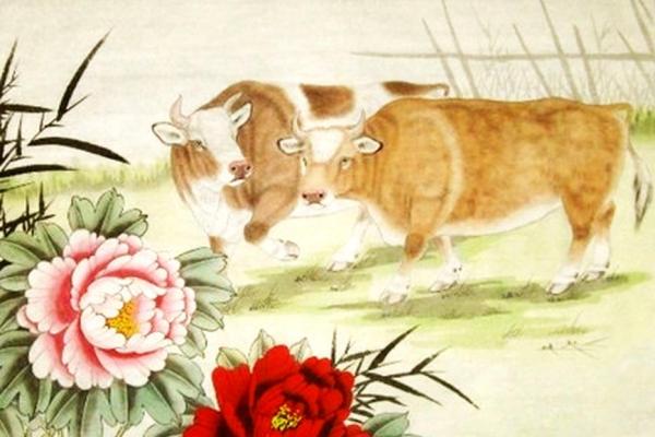1993年生肖解析：水鸡的命运与性格剖析